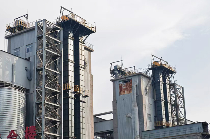 plate chain bucket elevato